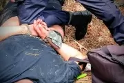 Feroz persecución y tiroteo en Villa Elisa: 3 heridos, 2 detenidos y 1 prófugo
