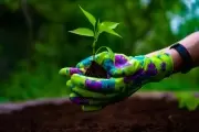 Parque Ecológico Municipal: ¿Cuándo se realizará el 10° Encuentro de Intercambio de Semillas?