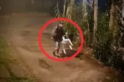 Video: Así saltan paredones para robar en un reconocido barrio de la Zona Norte platense