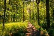 📧 Correo de Lectores: ¿Y si hubiera que talar el Parque Pereyra Iraola?