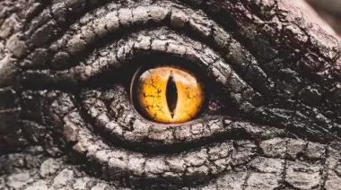 ¿Jurassic Park en Gonnet? Así será el proyecto estelar de la República de los Niños