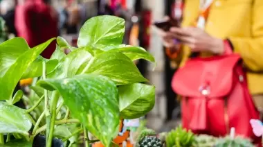 ✨ ¿Cómo poner un stand en la Feria Artesanal del Club Atlético y Fomento City Bell?