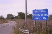 Campaña online para recuperar el "Camino de la Muerte" de Villa Elisa