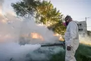 🚨 Dengue, engaños y robos: ¿Falsos fumigadores en la Zona Norte de La Plata?