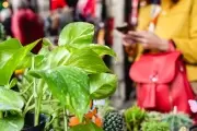 ✨ ¿Cómo poner un stand en la Feria Artesanal del Club Atlético y Fomento City Bell?
