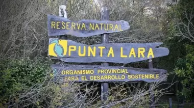 📧 Correo de Lectores: ¿Por qué no se debe repavimentar el Camino Negro que une a Villa Elisa con Punta Lara?