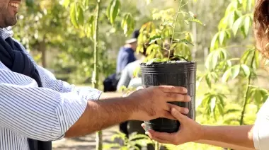 🌳 Récord absoluto en Villa Elisa: ¿Cuántos árboles entregó el Parque Ecológico por el Día de la Tierra?