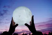 ✨ Luna llena en el Bosque de City Bell: Sumate a una nueva caminata mágica