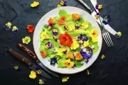 🌺 Gastronomía natural en Villa Elisa: Taller de Plantas Silvestres Comestibles en el Parque Ecológico