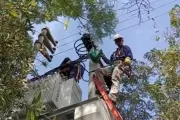 ⚡ Mejoras eléctricas en City Bell y Gonnet beneficiarán a más de 5300 usuarios en sectores claves