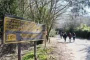 🌳 Polémica en el Parque Pereyra por plantación de especies sin informes ambientales previos