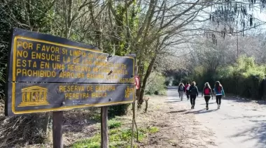 🌳 Polémica en el Parque Pereyra por plantación de especies sin informes ambientales previos
