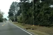 😡 Bronca entre City Bell y Gonnet por "frontera" abandonada sobre el Camino Belgrano