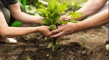 🌱 Julio en Villa Elisa: Conectá con la naturaleza y aprendé bioconstrucción, compostaje, viverismo y más