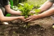 🌱 Julio en Villa Elisa: Conectá con la naturaleza y aprendé bioconstrucción, compostaje, viverismo y más