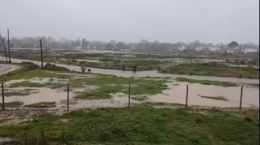 🟢 Video: Suspenden clases por desborde del Arroyo Carnaval