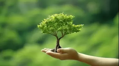 🌳 Día Nacional del Árbol: Reflexiones de Graciela Ramírez Gronda, especialista de Gorina