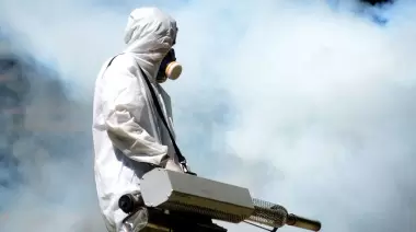 🦟 ¿Qué calles de Villa Elisa, Gonnet y Arturo Seguí fumigará la Municipalidad de La Plata?