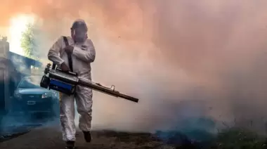 🦟 La Municipalidad de La Plata fumigará en City Bell, Villa Elisa y Villa Castells: ¿Cuándo y dónde?