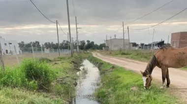 😔 En el olvido: El Barrio Savoia de City Bell se cansó de esperar y puso manos a la obra