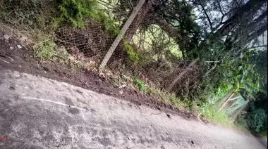 🤔 2 meses sin soluciones en Joaquín Gorina: ¿Qué exigen los vecinos?