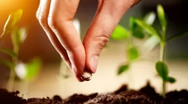 🌱  El 13° Encuentro de Intercambio de Semillas llega a Villa Elisa ¿De qué se trata?