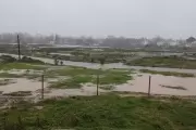 🟢 Video: Suspenden clases por desborde del Arroyo Carnaval