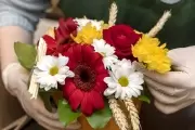 🌸 Plantas, flores y árboles: Llega la 5° Expo Vivero a City Bell con entrada libre y gratuita