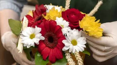 🌸 Plantas, flores y árboles: Llega la 5° Expo Vivero a City Bell con entrada libre y gratuita