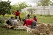 💚 Noviembre verde en el Parque Ecológico: Bioconstrucción, viverismo y plantas silvestres comestibles