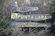 📧 Correo de Lectores: ¿Por qué no se debe repavimentar el Camino Negro que une a Villa Elisa con Punta Lara?