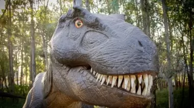 🦖 Dino Park en Gonnet: ¿Cuándo inaugura el espectacular parque temático?