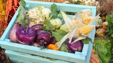 🥦 Feria de Verduras Orgánicas a precios populares en Villa Elisa: ¿Cuándo y dónde?