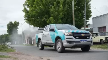 🦟 La Municipalidad de La Plata fumigará en Villa Castells y Arturo Seguí: ¿Cuándo y dónde?