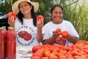 🍅 Fiesta del Tomate Platense 2024: Fecha y lugar confirmados