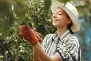 🌸 10 plantas silvestres y saludables para recolectar y comer durante febrero