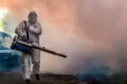 🦟 La Municipalidad de La Plata fumigará en City Bell, Villa Elisa y Villa Castells: ¿Cuándo y dónde?