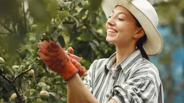 🌸 10 plantas silvestres y saludables para recolectar y comer durante febrero