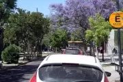 🚘 City Bell: ¿Cómo funcionará el Estacionamiento Medido durante los feriados de carnaval?