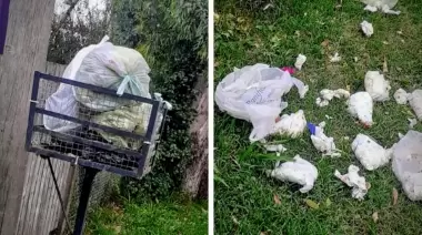 🚯 2 meses con basura: Piden respuestas a ESUR y a la Municipalidad de La Plata