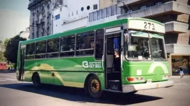 🚍 ¿Adiós al Rondín del 273 de Villa Elisa?