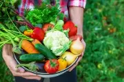 💰 Vuelve la Feria Verde a Villa Elisa con súper ofertas de productores locales