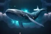 🐋 Día Mundial de los Océanos: ¿Sabías que hubo ballenas azules en City Bell?