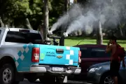 🦟 City Bell, Villa Elisa y Gorina: La Municipalidad de La Plata combate al dengue