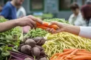 🥕 Feria Verde y productores locales en Villa Elisa: Ofertas de otoño