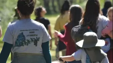 🌳 ¿Conocés el Bosque de City Bell? Sumate a su expedición con un famoso naturalista