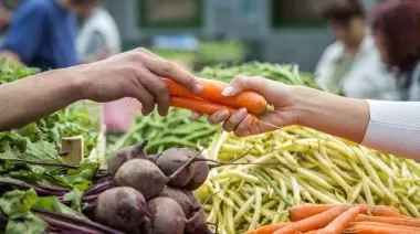 🥕 Feria Verde y productores locales en Villa Elisa: Ofertas de otoño