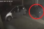 🎦 Video: Así fue la violenta entradera a una jubilada en la Zona Norte de La Plata