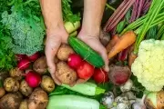 💰 Feria Verde y Huerta Comunitaria en Villa Elisa: 1 kilo de morrón por $1500