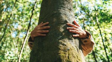 🌳 City Bell y Villa Elisa celebran el Día del Árbol: ¿Qué especie nativa será protagonista?